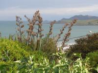 Albums/20060200-New Zealand 2006/20060313-Catlins/62